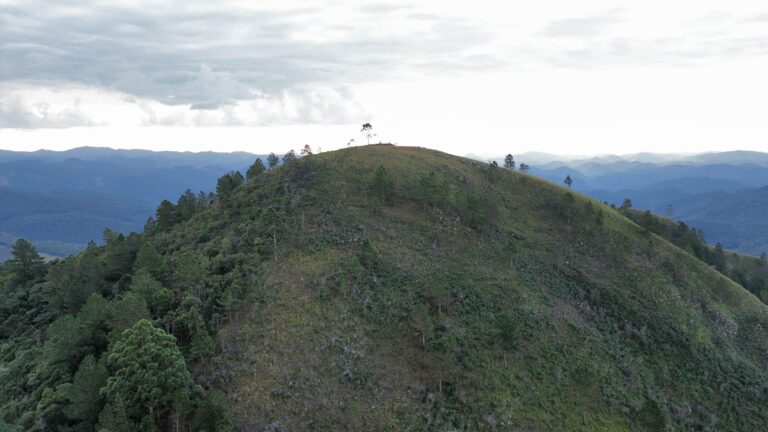 IMG-20250713-WA0018(1)